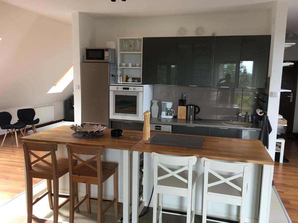 Apartament Urocza Przy Wyciagu Ski Arena Szklarska Poreba Ngoại thất bức ảnh
